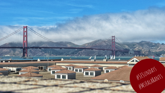 SF Sundays – Summer Time!