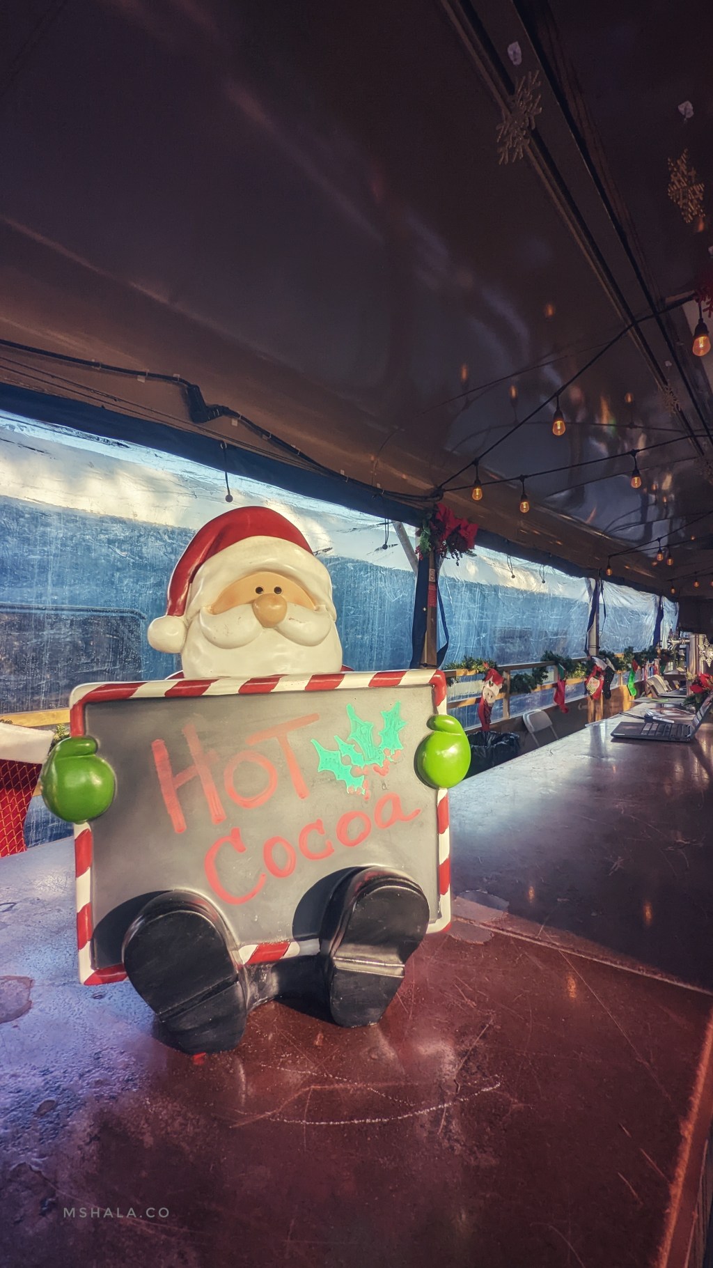 Magical Christmas Train&nbsp;Ride