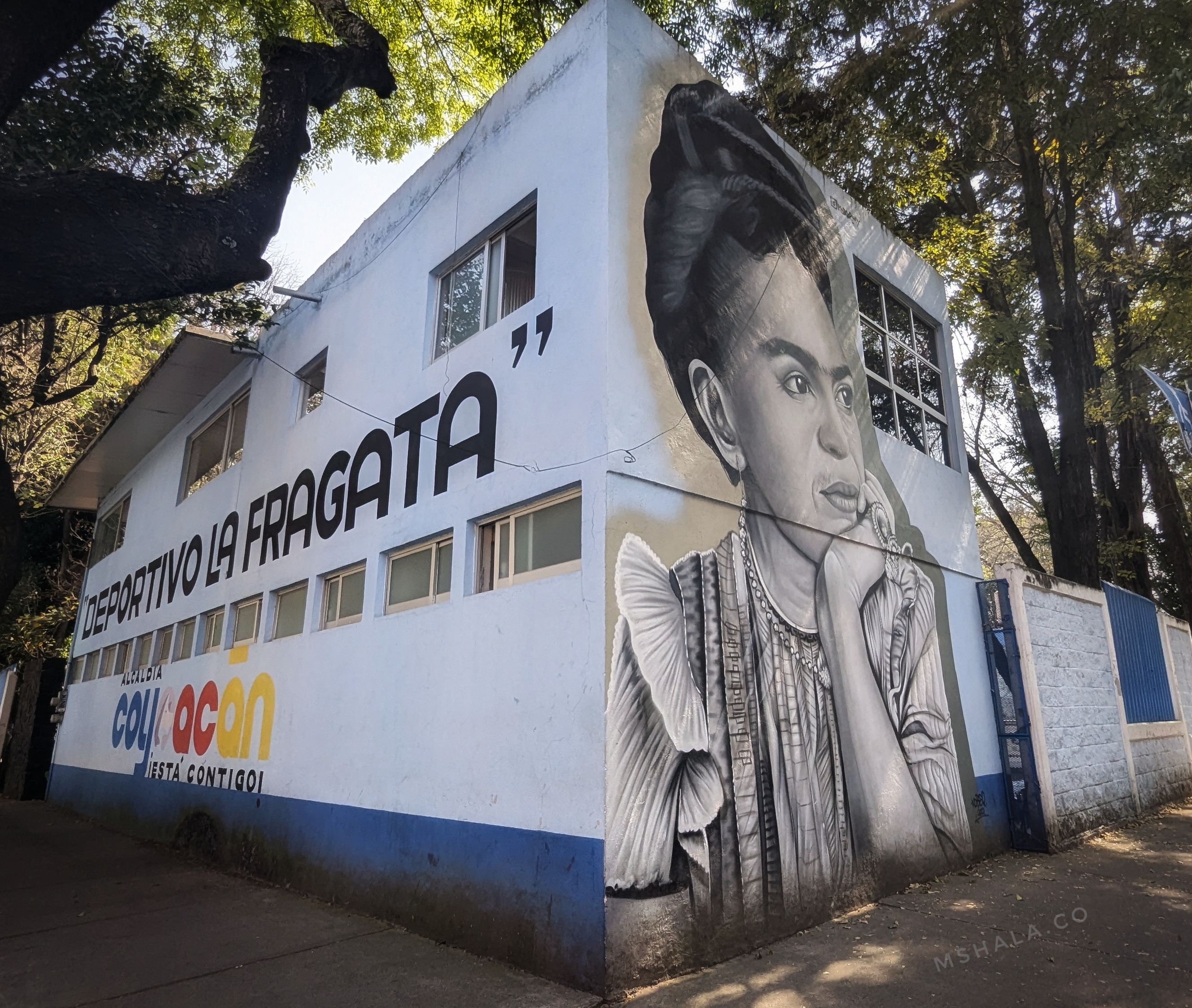 In The Homes of Frida Kahlo
